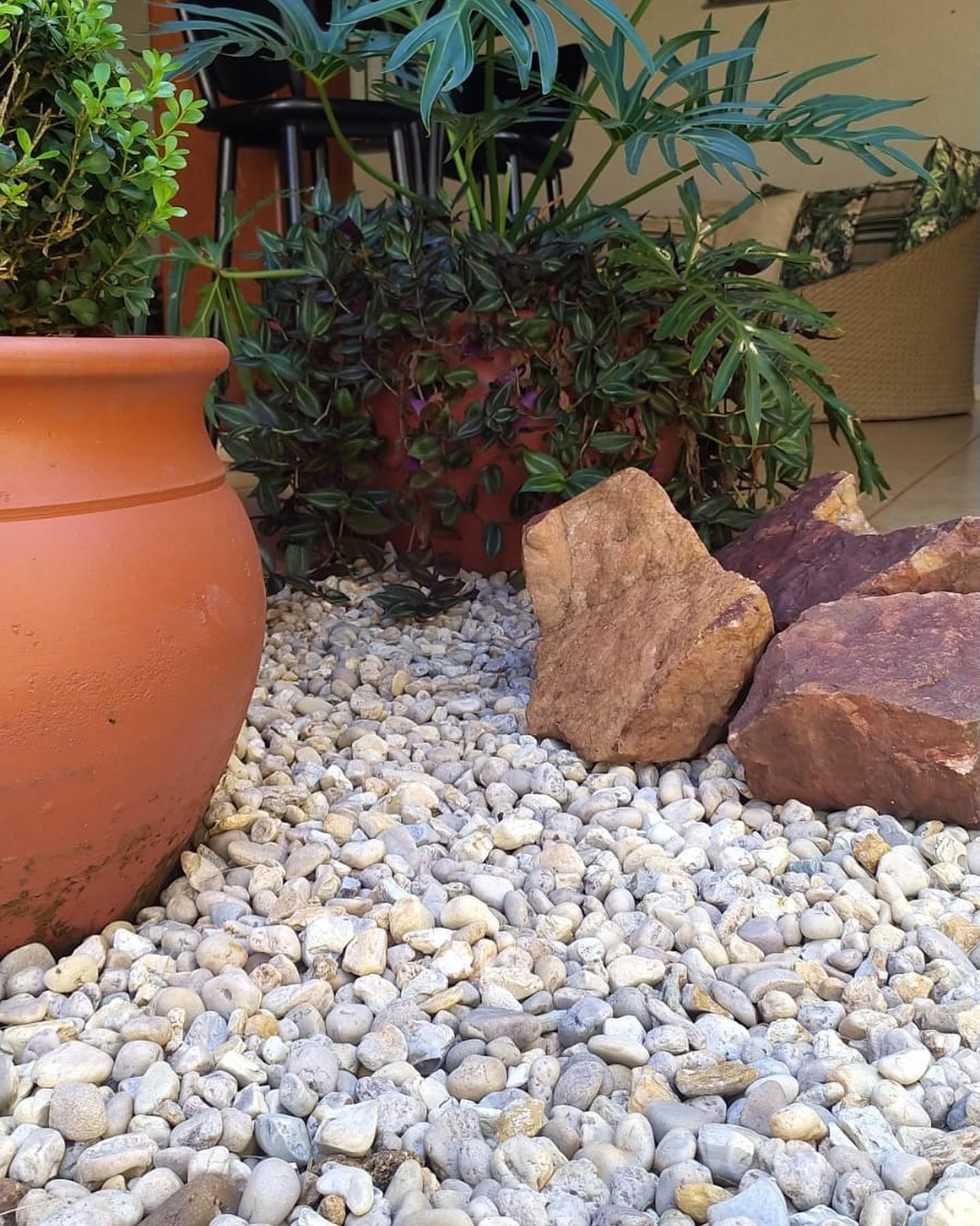 Detalhe paisagístico com plantas e pedras em Dourados